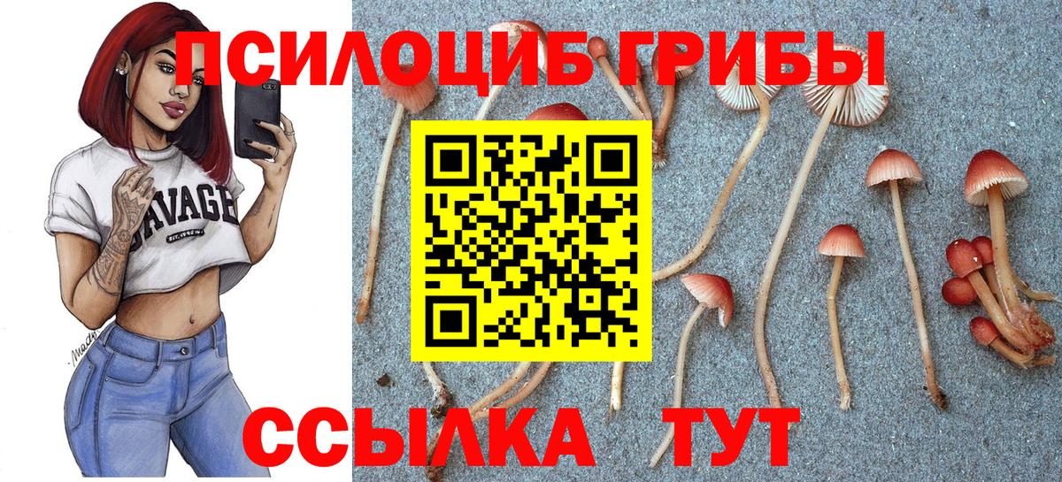 Псилоцибиновые грибы прущие грибы Унеча